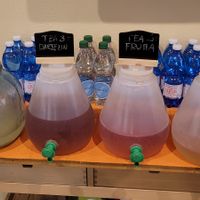  at SaporiBio in Lugano