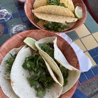 Delicious vegan tacos  at Texicana Grill in Bellmore