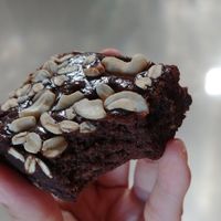 brownie at Kood Kolaborasi Untuk Desa in Denpasar