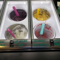 6 vegan flavors at Gelato-Go in North Miami Beach