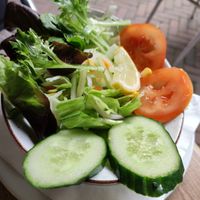 Side salad at India Palace in Apeldoorn