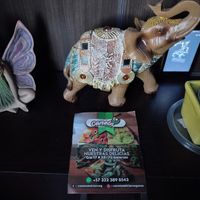 Me encontré esta belleza 😻 de publicidad at Canela Delicias Veganas in Bogota