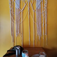 Wallflower at INA Restaurante in Medellin