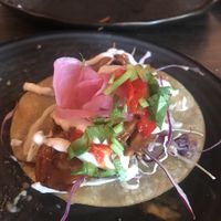Pulled jackfruit taco at Vandal in Newtown