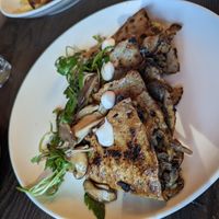 Mushroom tortilla at Vandal in Newtown
