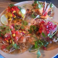 Set Menu - taco selection at Vandal in Newtown