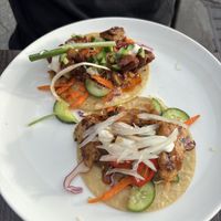   at Vandal in Newtown