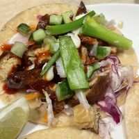 Duck  at Vandal in Newtown