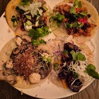Duck carnitas; Cauliflower al pastor; Korean fried eggplant; Wild mushroom tacos: All tasty as! $8 each or 4.50 on taco tuesday at Vandal in Newtown