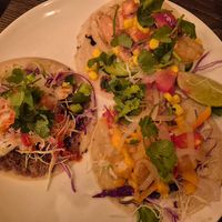 Smash burger: LOVE the smash burger; Popcorn prawn: perfect texture; Fish: LOVE the texture. The salad part of the tacos do not go well+seems like whatever is leftover in kitchen at Vandal in Newtown