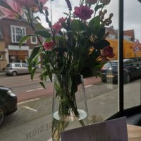 View behind the window at 33rd Street Coffee in Rotterdam
