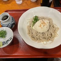  Cold soba with tofu  at Genji-soba in Osaka