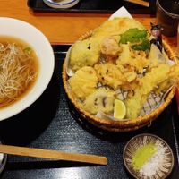 Soba tempura (vegan) at Genji-soba in Osaka
