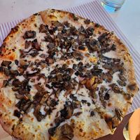 Funghi pizza with vegan cheese at Bigalora in Canton