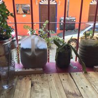 Inside at Macuy in Flores