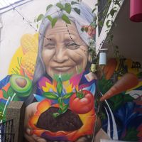 The terras at Madreselva in Bogota