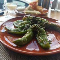 Pimientos del padrón at El Banco in Marbella