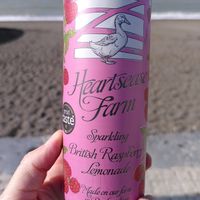 Sparkling raspberry lemonade (September 2023) at Iwtopia Deli in Aberystwyth