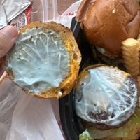 Blue sauce (delicious!)  at Sunshine Vegan Eats in Buffalo