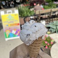 Vegan mint chocolate chip ice cream in waffle cone  at Emack & Bolio's Ice Cream in Boston