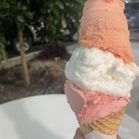 Blood orange, coconut and raspberry strawberry  at Gelocchio in Cairns