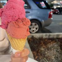 Dragonfruit and boysenberry   at Gelocchio in Cairns