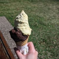 Chocolate and passion fruit sorbets at Gelocchio in Cairns