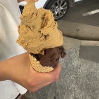   at Gelocchio in Cairns