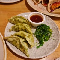 Gyozas at Shrub in Chester