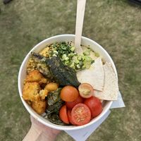  VCO   at Shrub in Chester