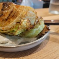Savoy Cabbage at Shrub in Chester