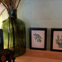 Interior at CLO in Antwerpen