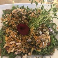 Bien Habillée raw pizza- outstanding  at La Belle Verte in Gatineau