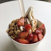 Vegan Vanilla Froyo with berries, peanuts, caramel sauce (6,30€)  at Faleyda in Frankfurt