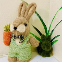   at The Rabbit Hole in Pompano Beach