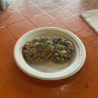   at The Rabbit Hole in Pompano Beach