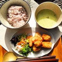 Karage at Holy Holy Familiar Tree Cafe in Ikeda