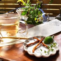 Herb tea and some treat at Holy Holy Familiar Tree Cafe in Ikeda