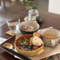   at Holy Holy Familiar Tree Cafe in Ikeda