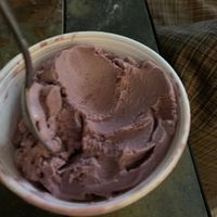 Black Raspberry Non-Dairy at Carter's Ice Cream in Haverhill