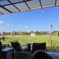   at Sista the Dumpling Shack in Kuta