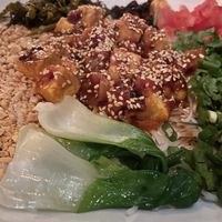 Noodles with tofu  at Top Burmese in Beaverton