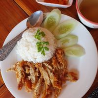 Fried chicken with rice at Mina Hostel in Thakhek
