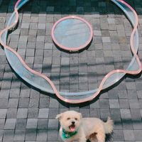 IG @fluffybenben at Dreamwave Donuts in Canggu