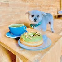 IG @fluffybenben at Dreamwave Donuts in Canggu