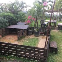 Pet turtle enclosure at Hikari Rakuen in Ishigaki