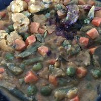 Vegetable kurma  at Dosa & Chaat in Gaithersburg