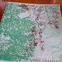   at Yong Green Food in Fitzroy