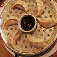 kimchi gyoza at Yong Green Food in Fitzroy