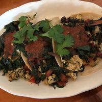 Breakfast burrito (scrambled tofu, corn tortilla taco)  at Chase's Daily in Belfast